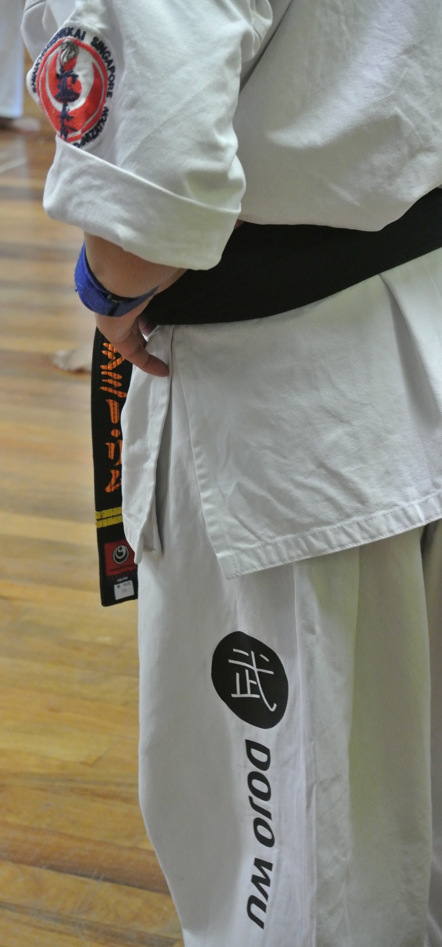 2015 Classes at Dojo Wu